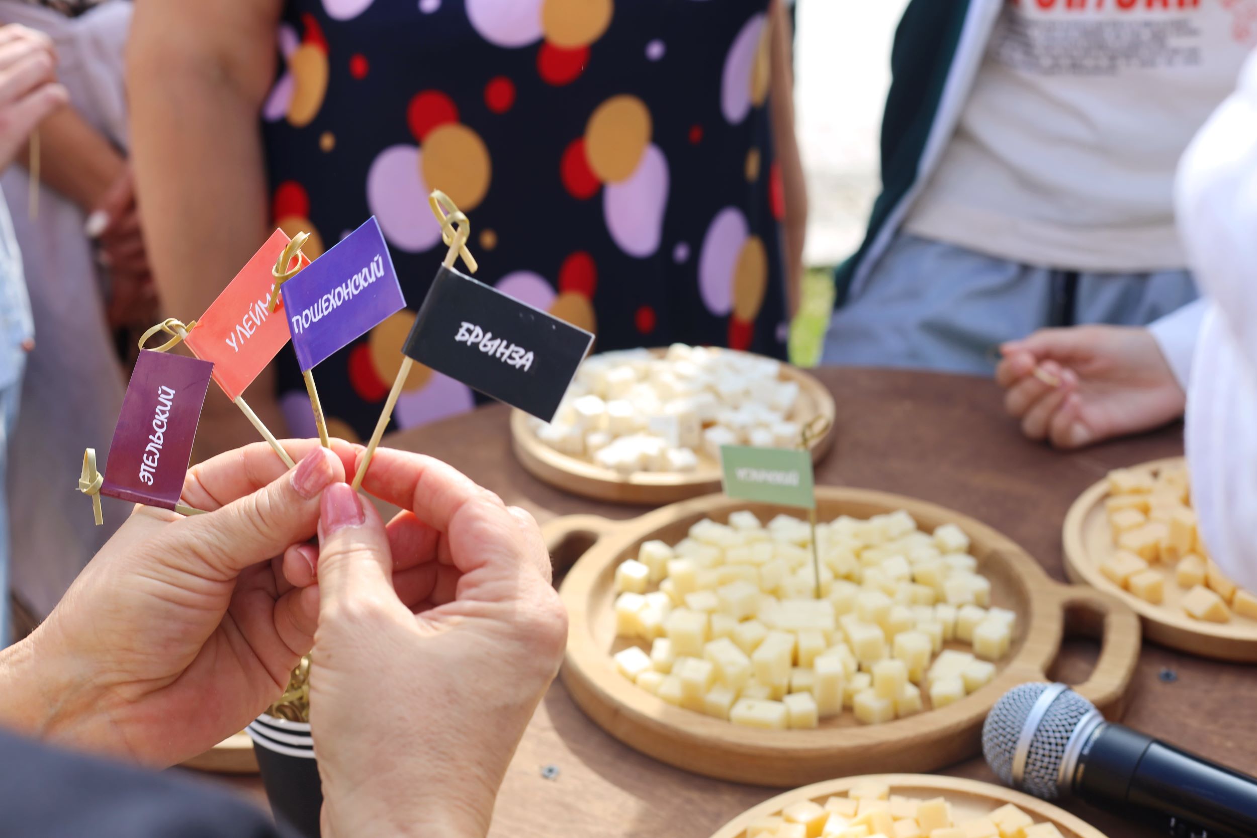 Наши сыры на гастрономическом фестивале «Пир на Волге»